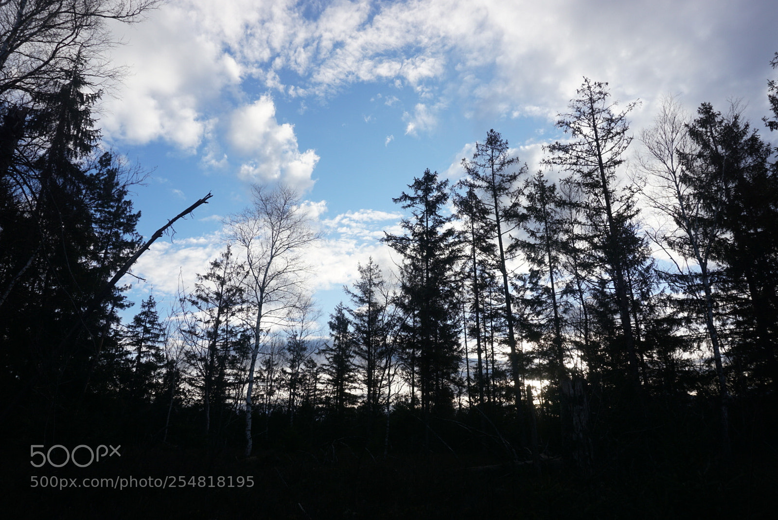 Sony a6000 sample photo. Weiß blau und schwarz photography