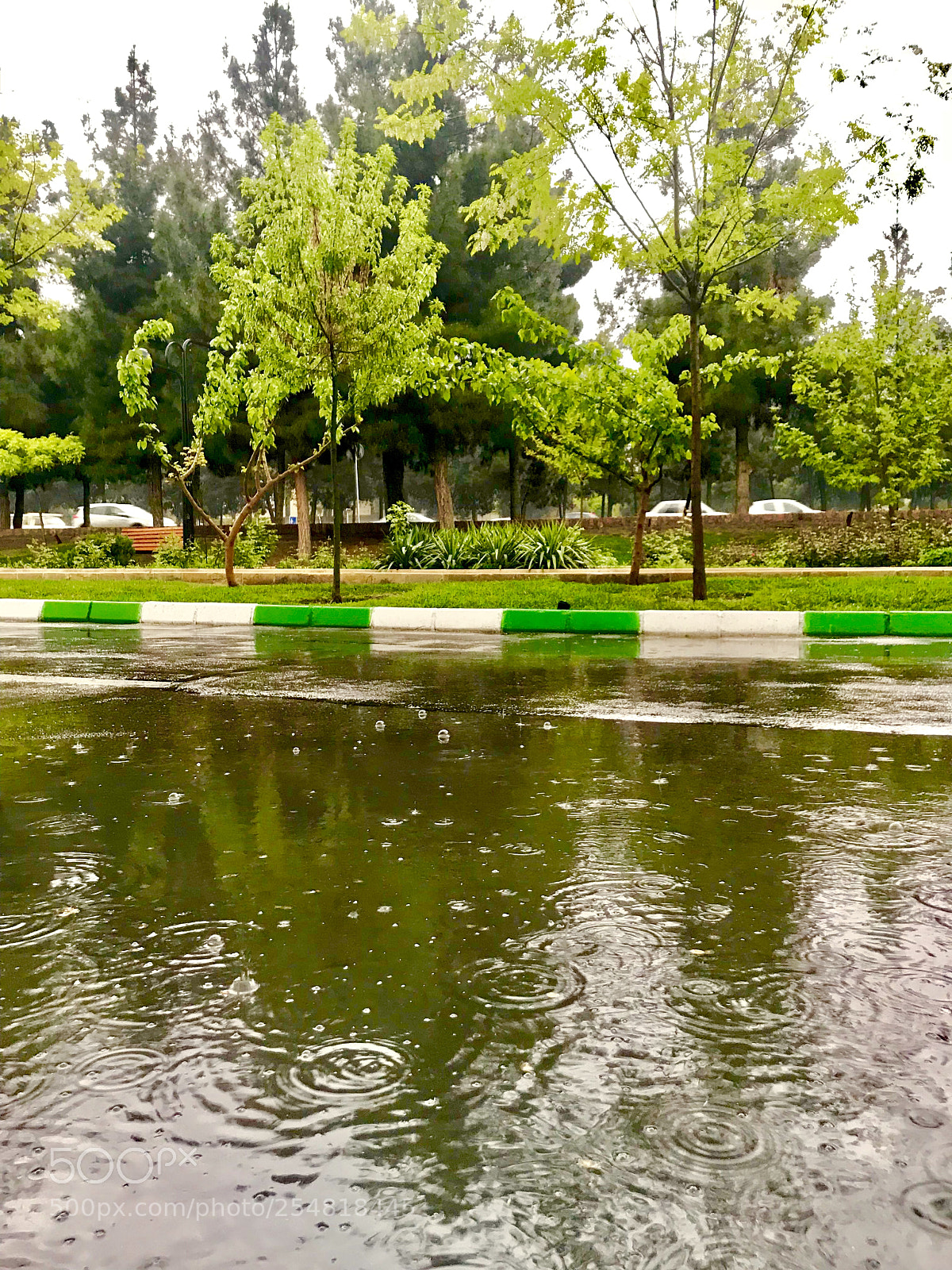 Apple iPhone 7 sample photo. Untitled photography