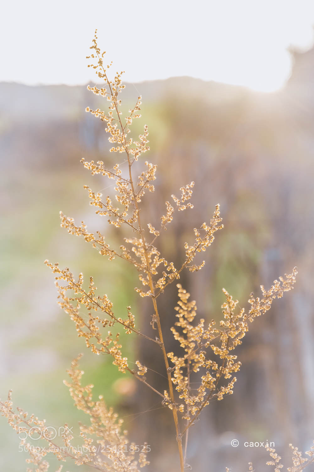 Nikon D7200 sample photo. Untitled photography
