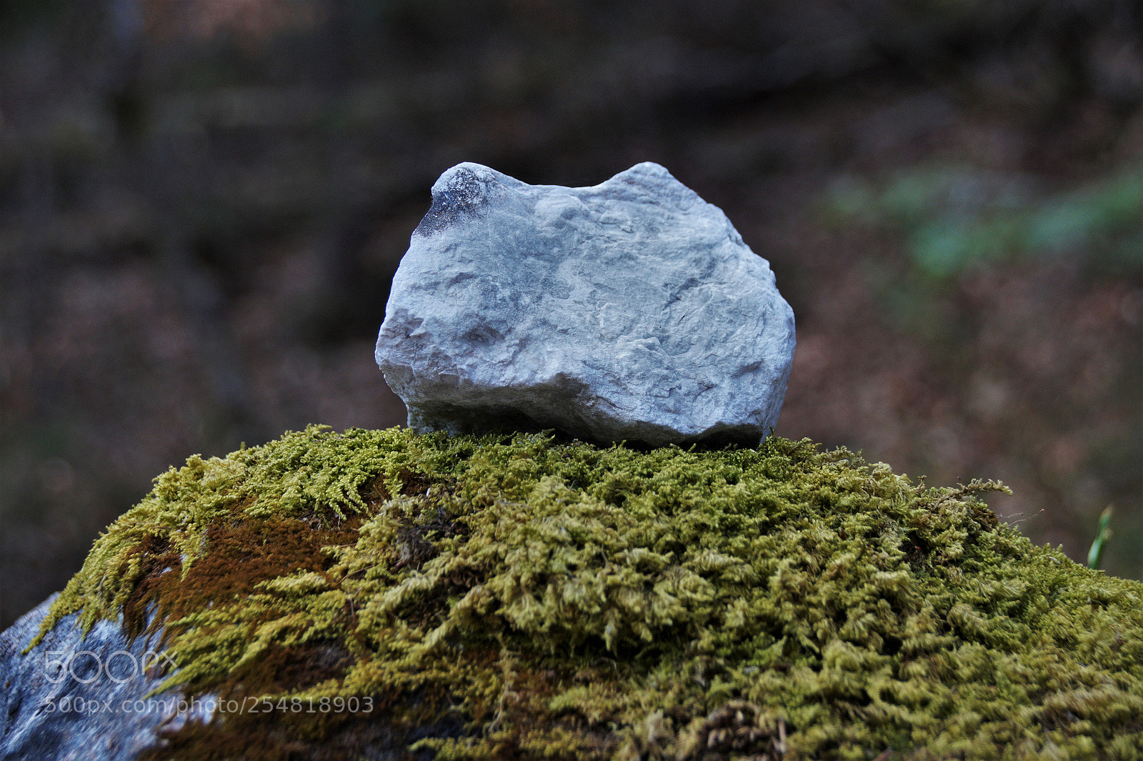 Sony SLT-A58 sample photo. Stein photography