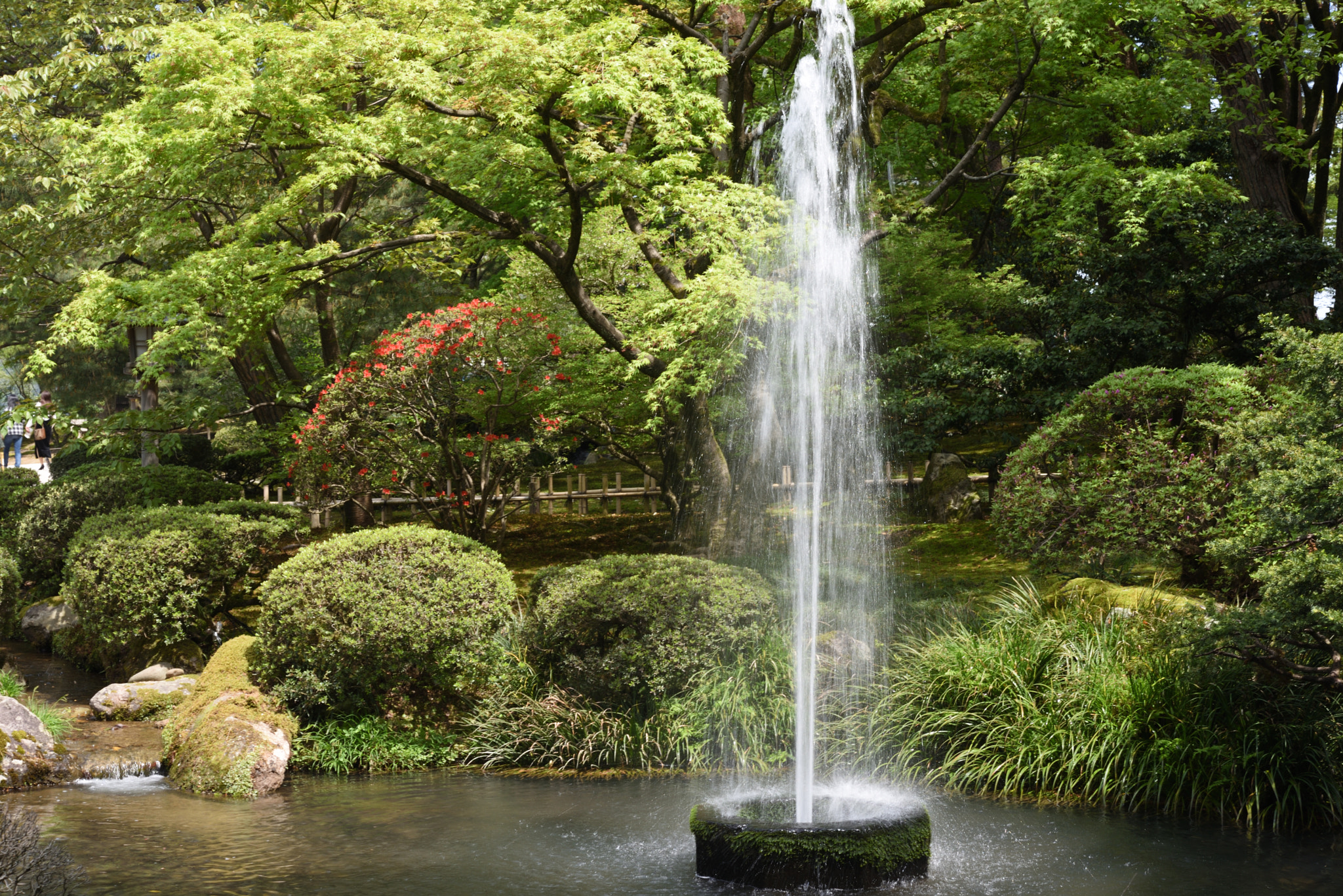 Nikon AF-S Micro-Nikkor 60mm F2.8G ED sample photo. 新緑とツツジに噴水 兼六園 photography