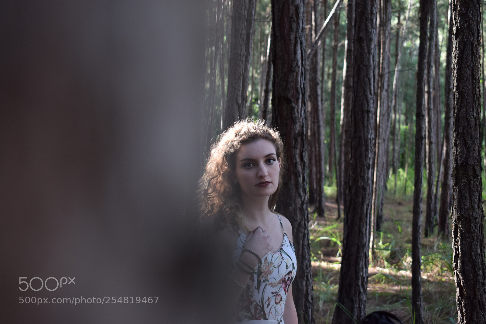 Nikon D5300 sample photo. Her ghost in the photography