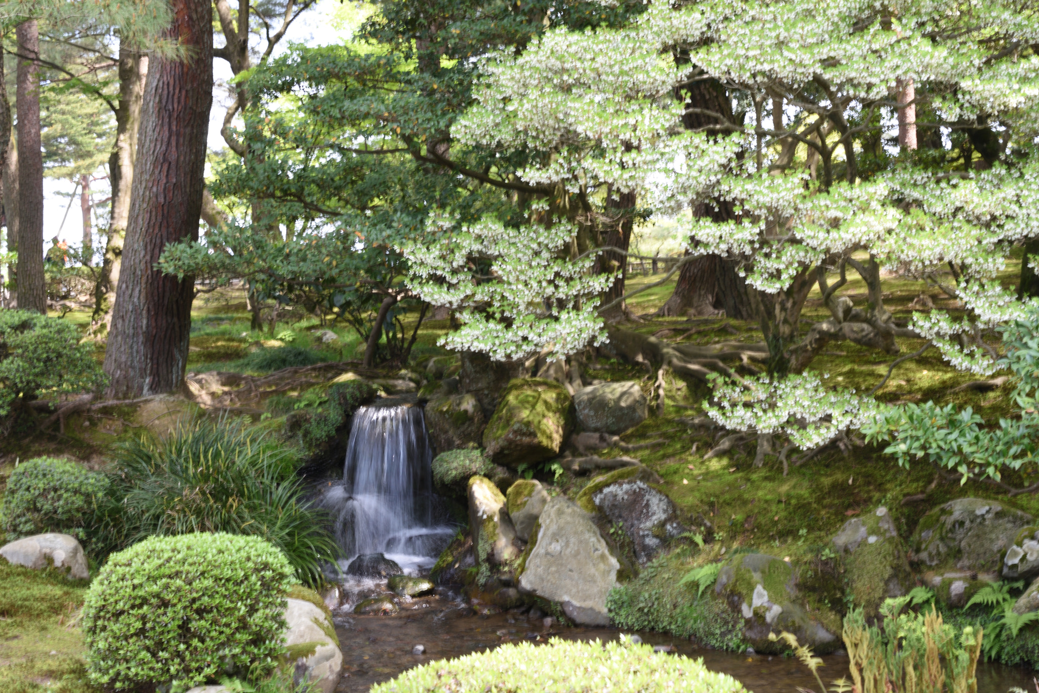Nikon AF-S Micro-Nikkor 60mm F2.8G ED sample photo. ドウダンツツジ 兼六園 photography