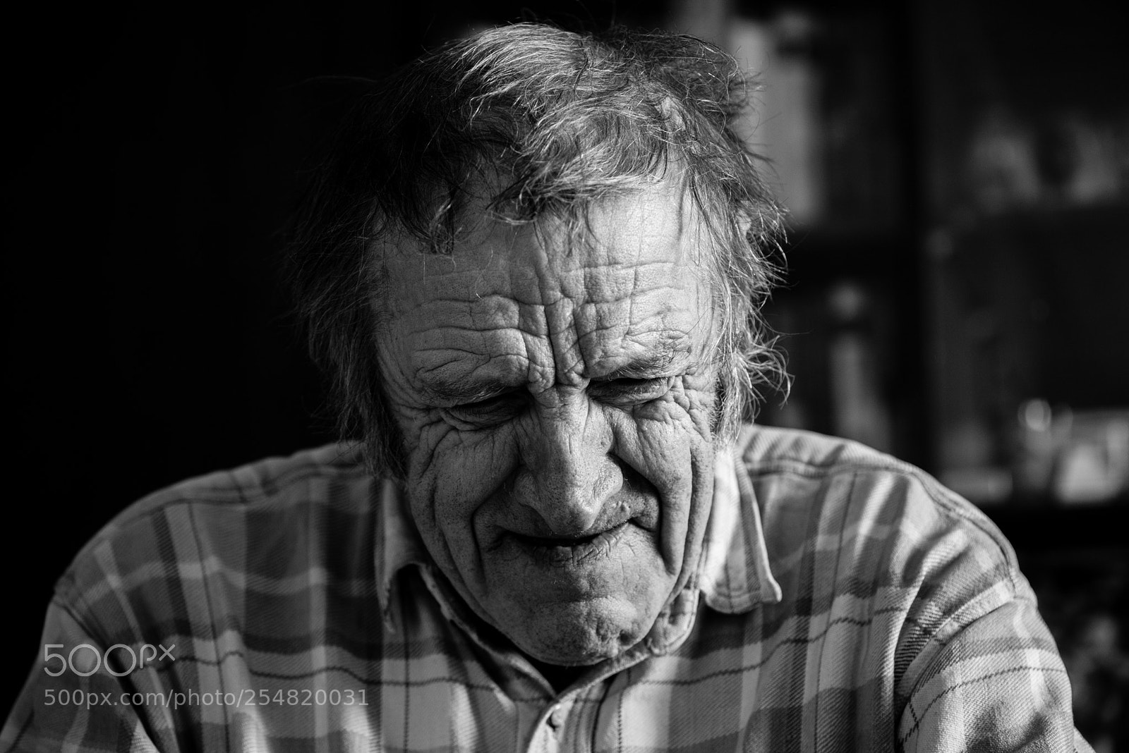 Nikon D610 sample photo. Little things photography
