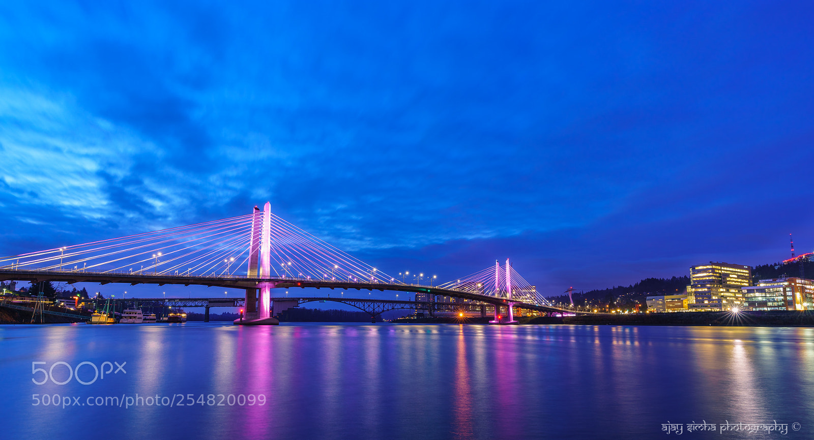Sony a7R II sample photo. Tilikum bridge pdx photography