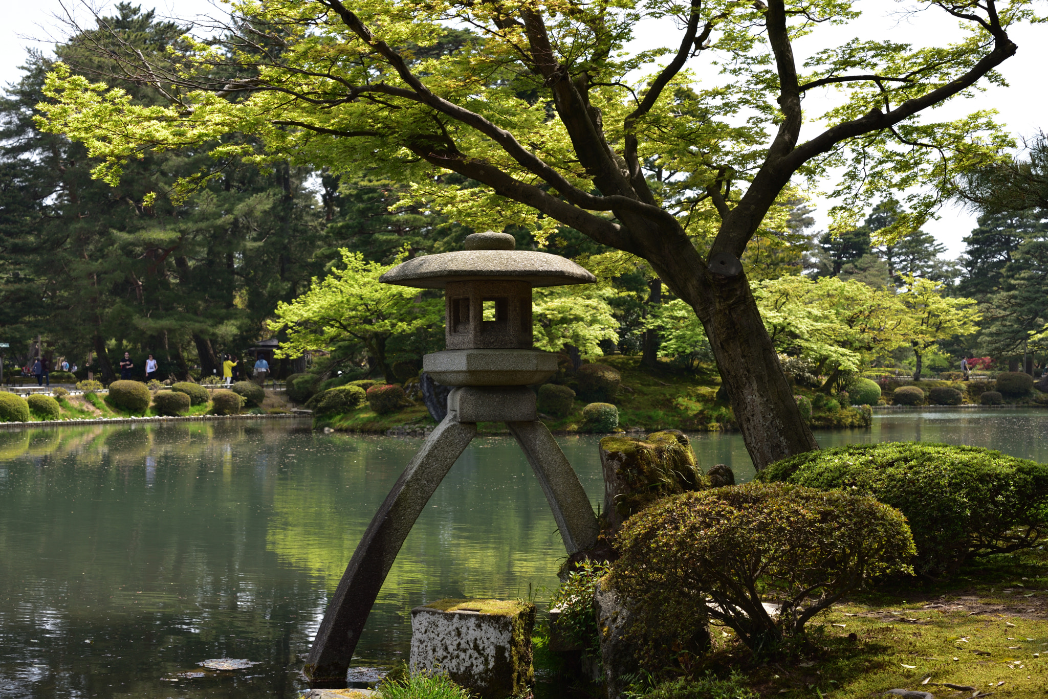 Nikon D750 + Nikon AF-S Micro-Nikkor 60mm F2.8G ED sample photo. 新緑とことじ灯籠 兼六園 photography