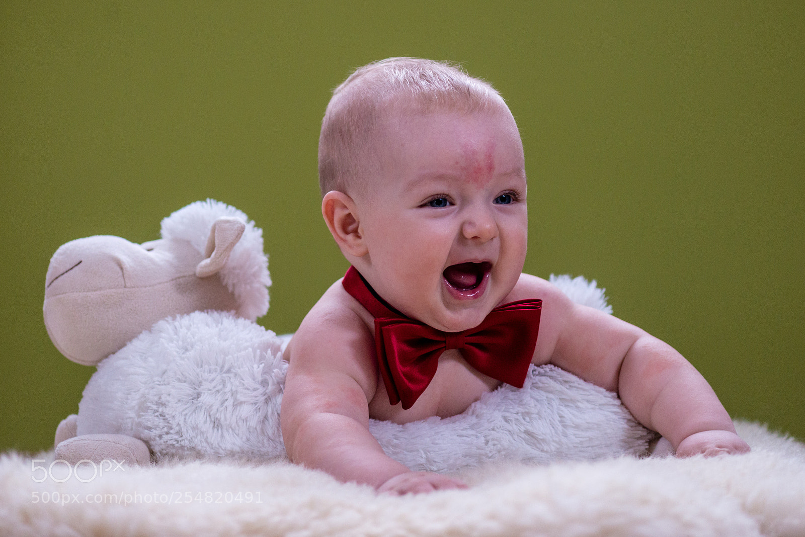 Nikon D610 sample photo. I see you! photography