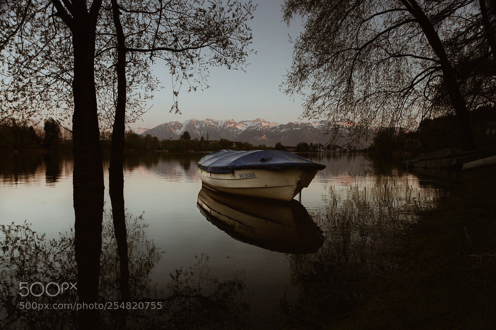 Nikon D610 sample photo. Quiet water photography