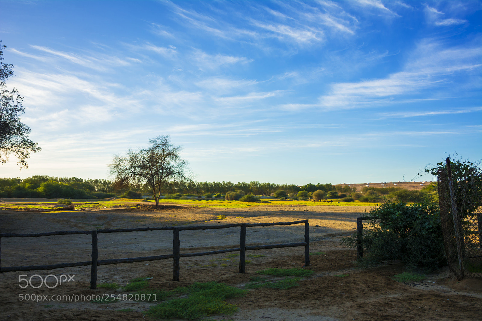 Nikon D7100 sample photo. Colors of nature photography