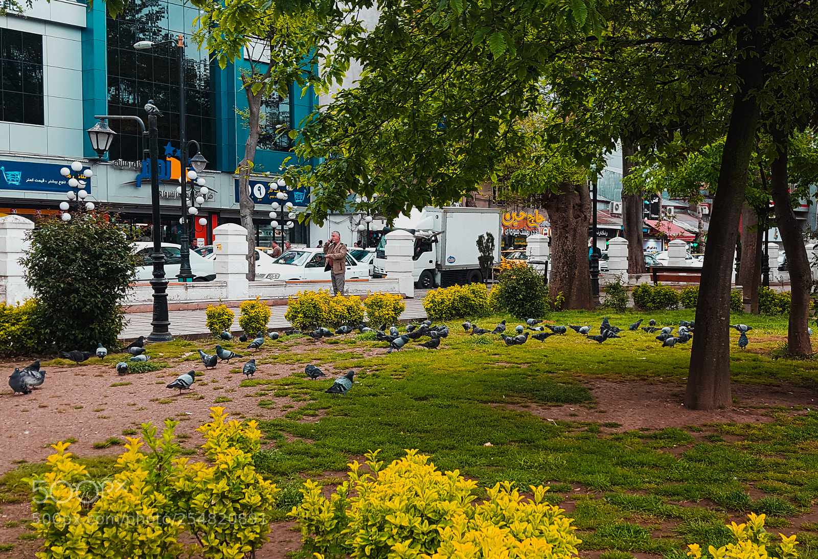Samsung Galaxy S6 sample photo. Rasht city photography