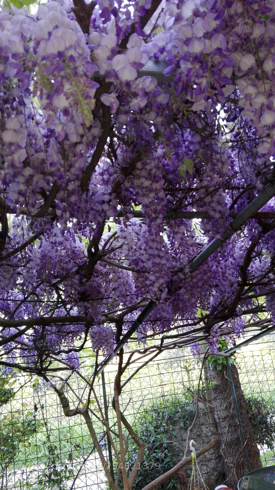 HUAWEI P8 Lite sample photo. Untitled photography