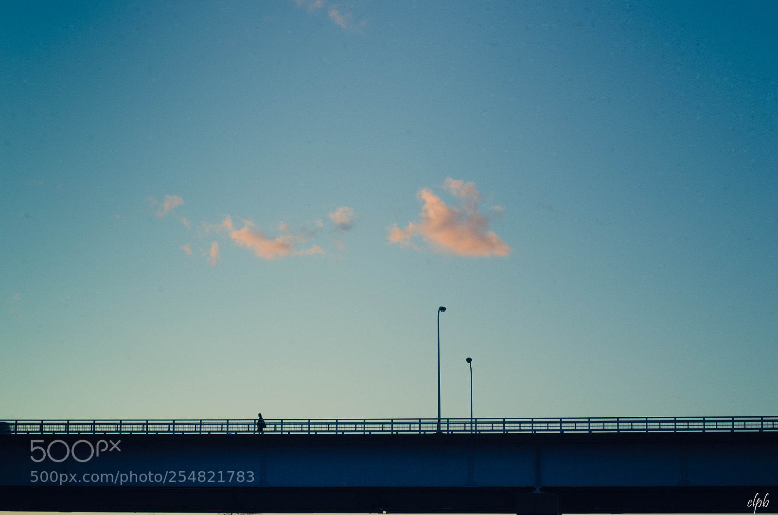 Nikon D7000 sample photo. Alone photography