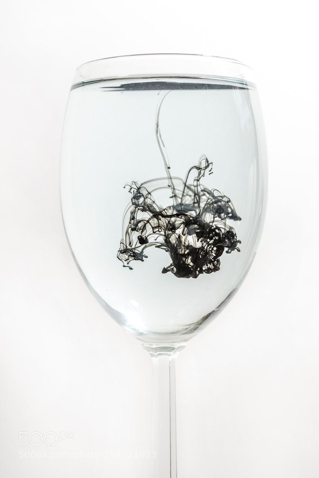 Nikon D5500 sample photo. India ink black wine photography