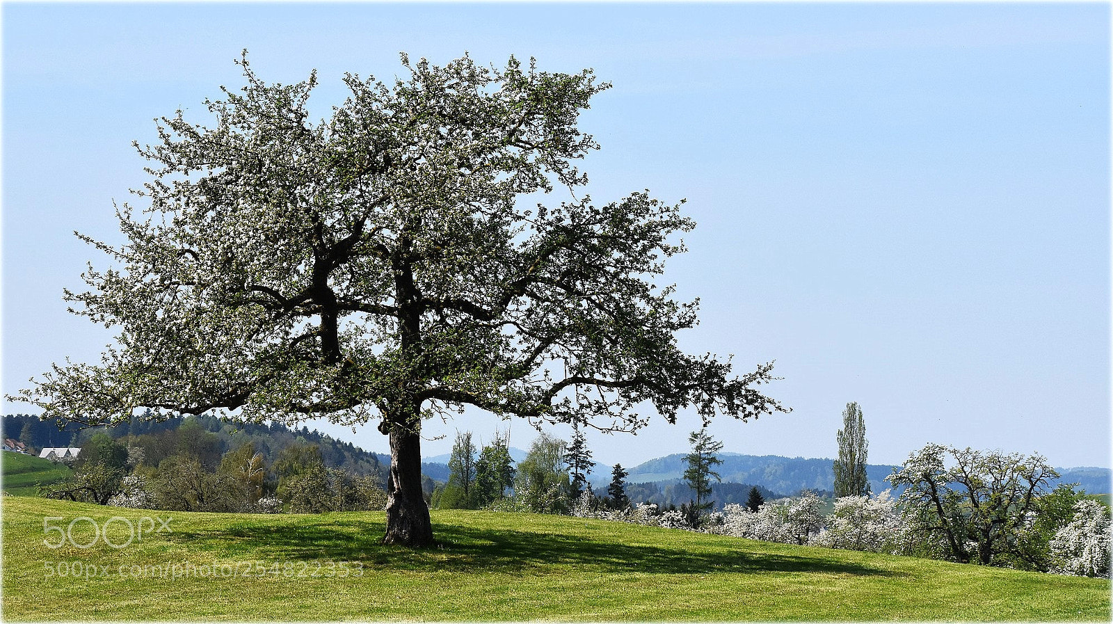 Nikon D7200 sample photo. "printemps" photography