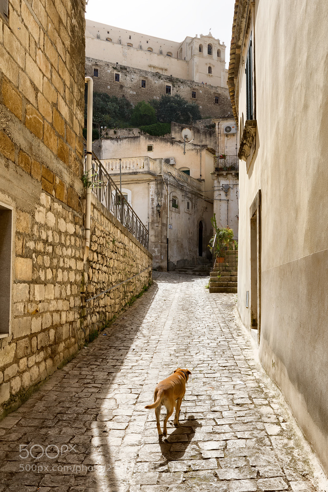 Canon EOS 7D sample photo. Sicily photography