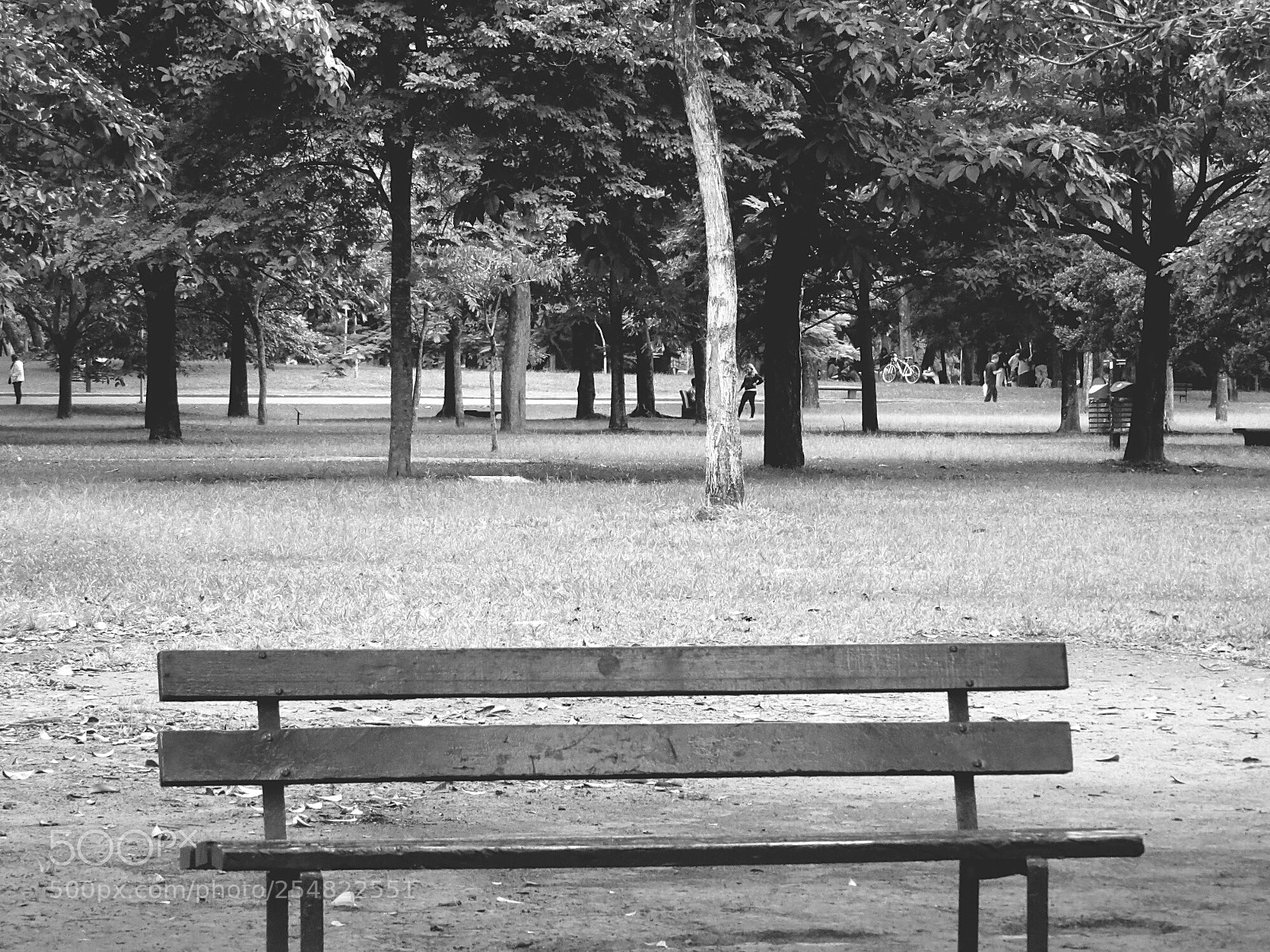 Canon PowerShot SX50 HS sample photo. Sitting, waiting, wishing photography
