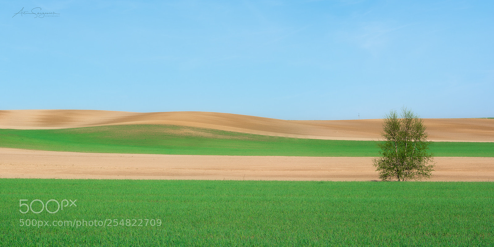 Nikon D7100 sample photo. A plain view photography