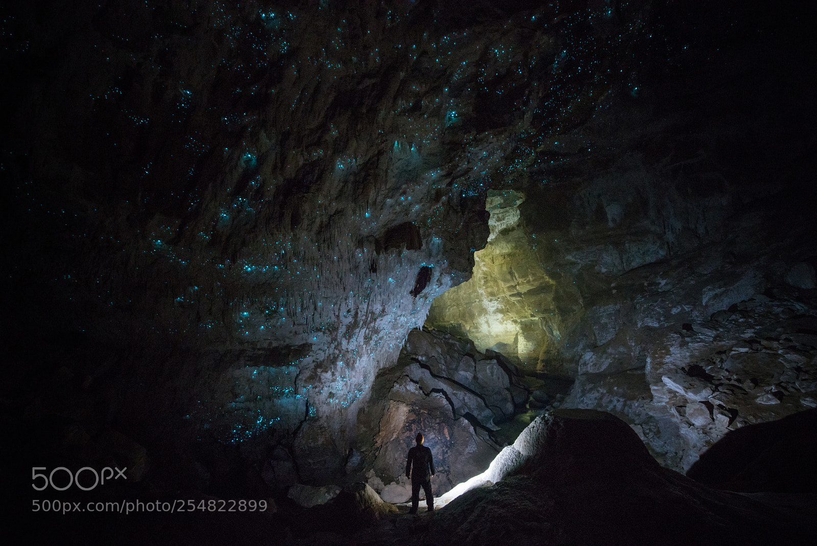 Nikon D810 sample photo. Unexplored waitomo caves photography