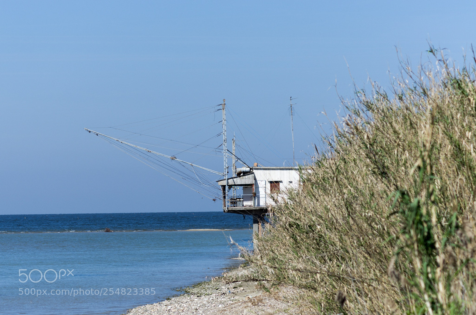 Pentax K-5 sample photo. Untitled photography