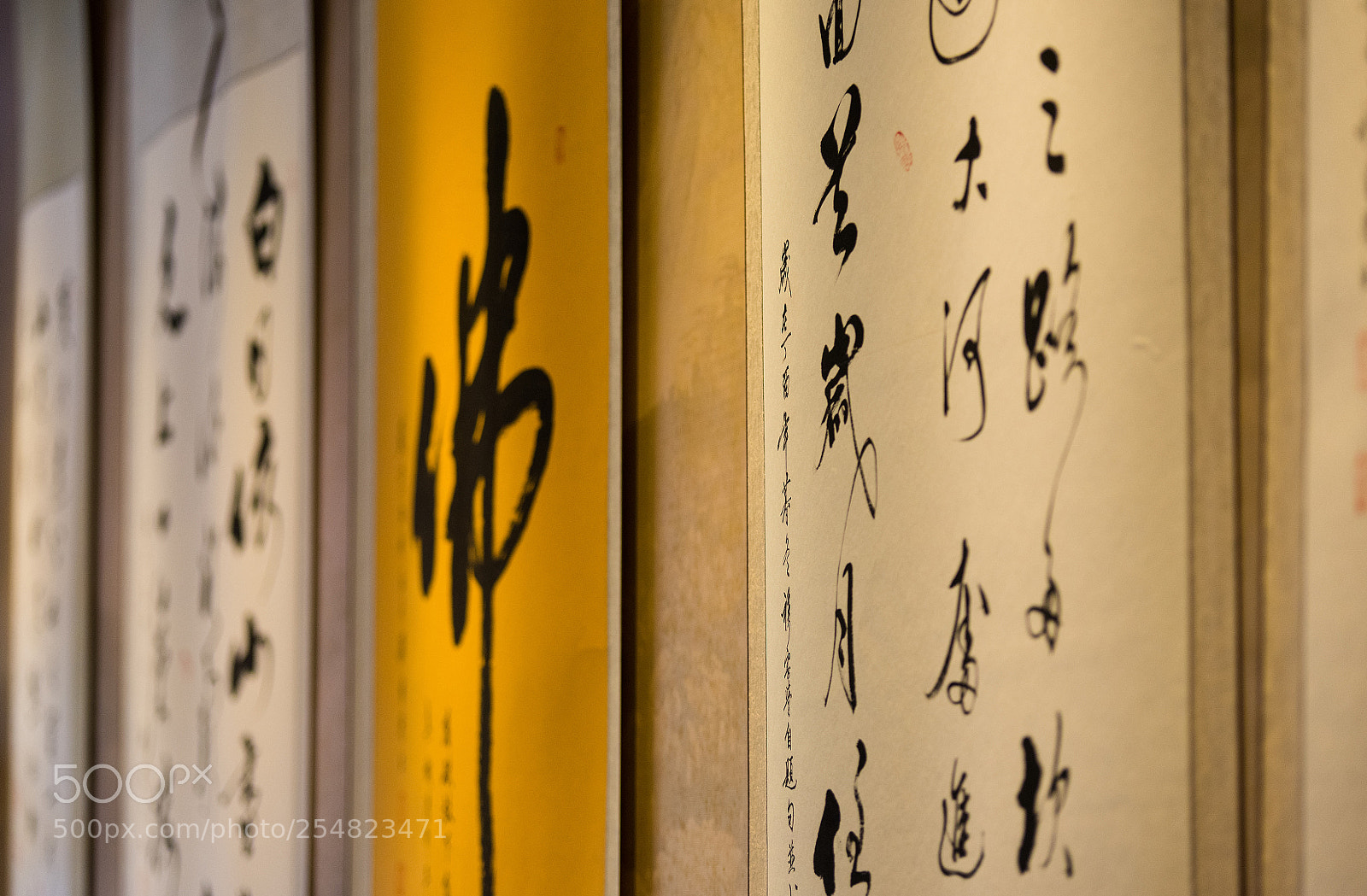 Nikon D810 sample photo. Untitled photography