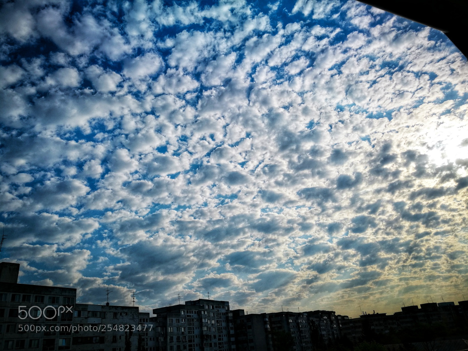 HUAWEI P9 sample photo. Untitled photography