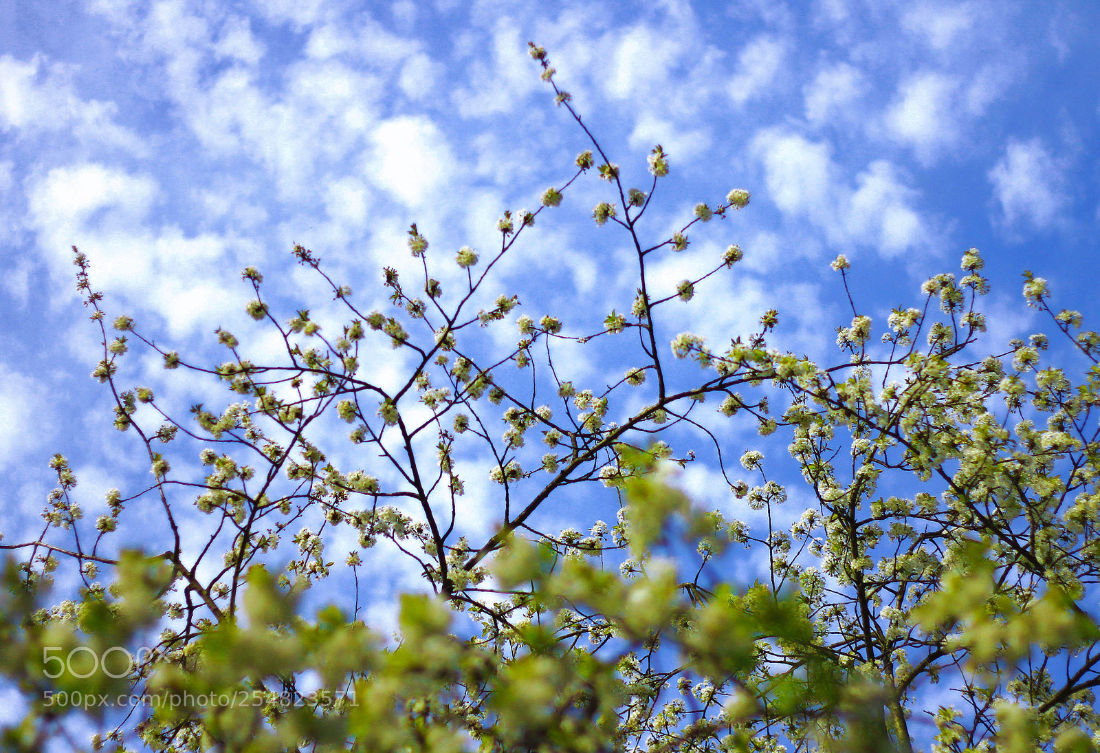 Canon EOS 7D sample photo. Ephemeral layers photography