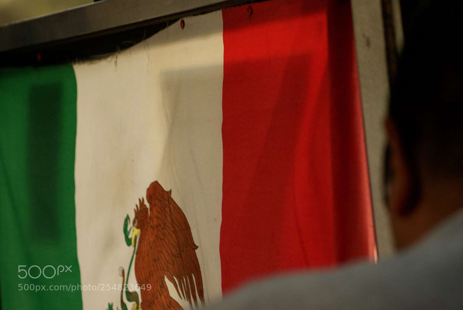 Sony Alpha DSLR-A230 sample photo. Untitled photography