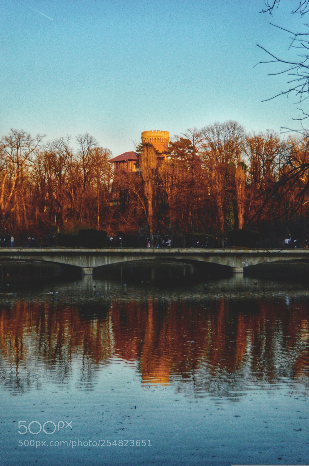 Nikon D3200 sample photo. Untitled photography