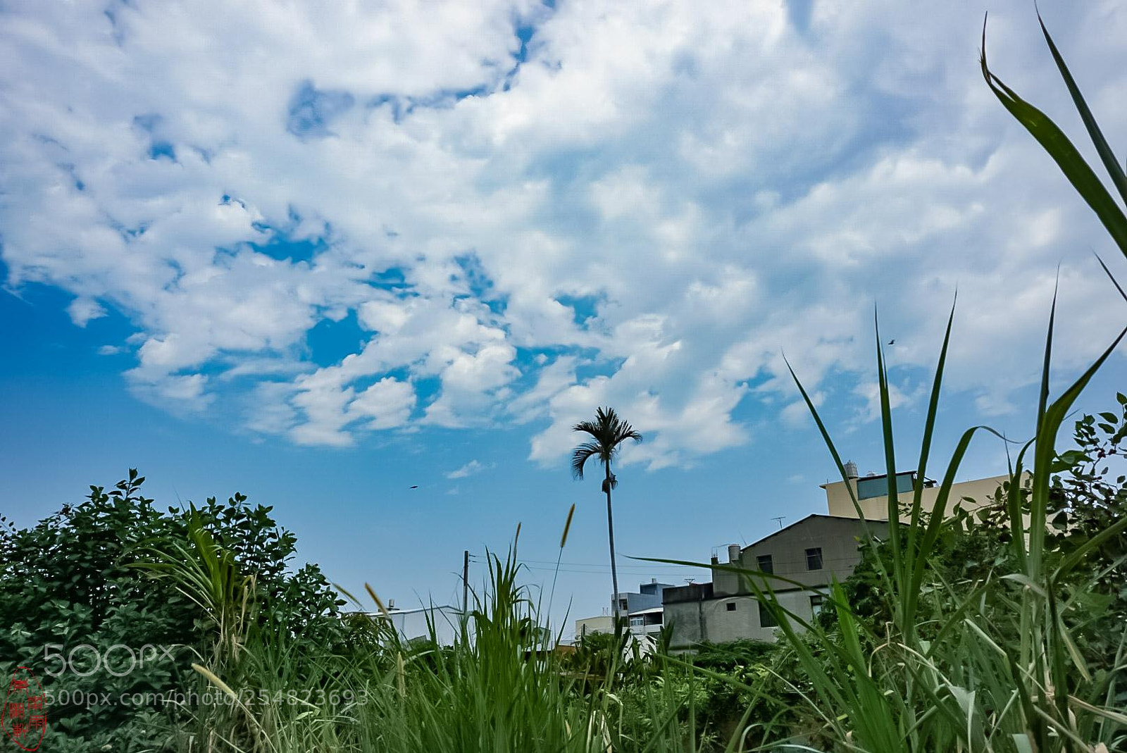 Sony a6000 sample photo. Untitled photography