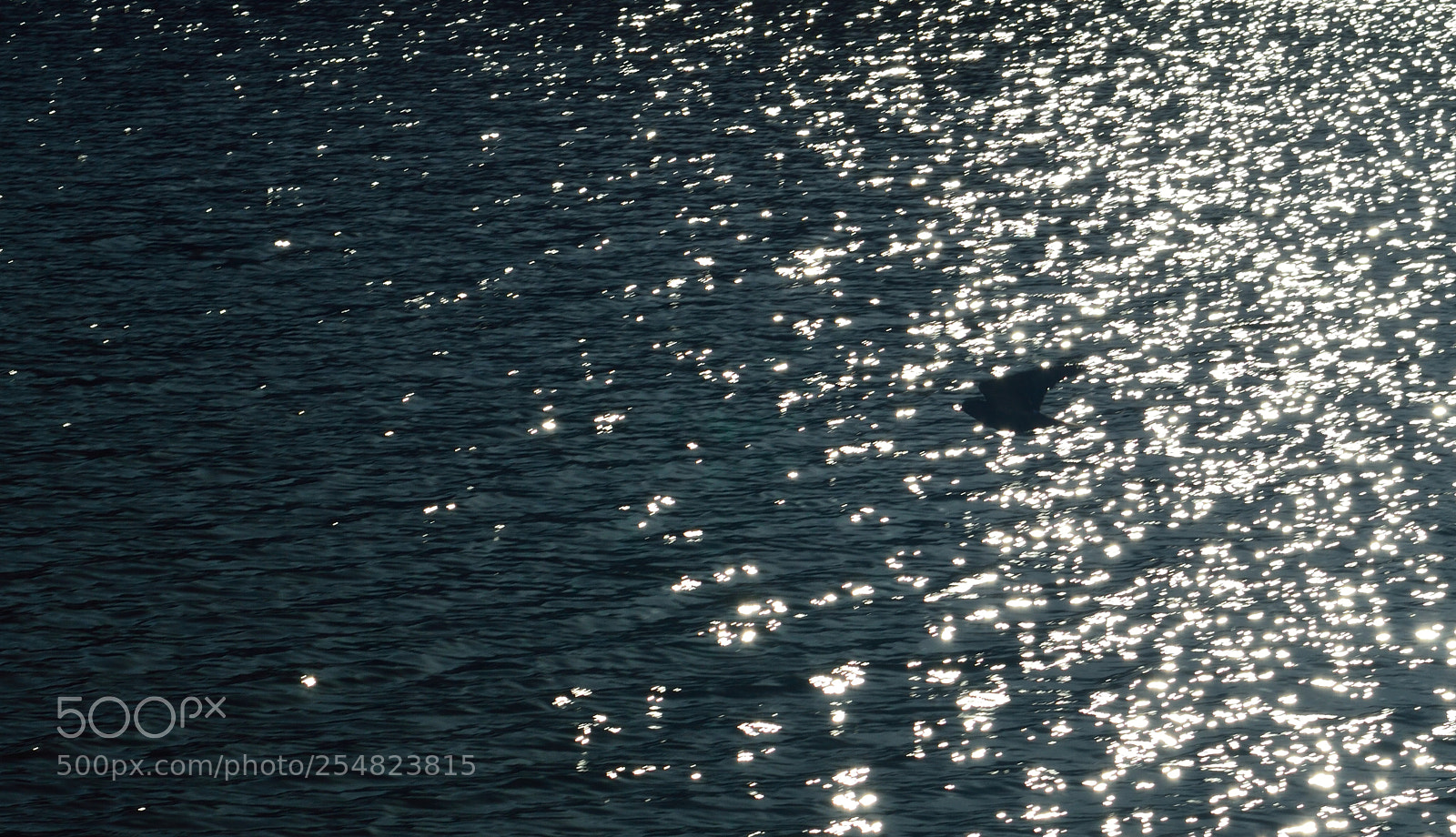 Nikon D3200 sample photo. Above the waves photography