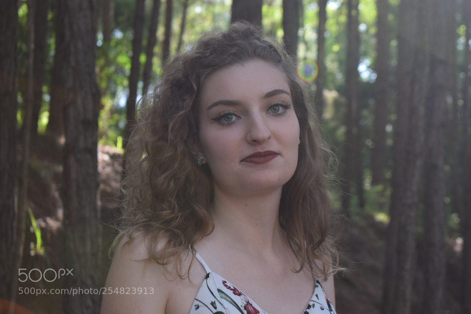Nikon D5300 sample photo. Light photography