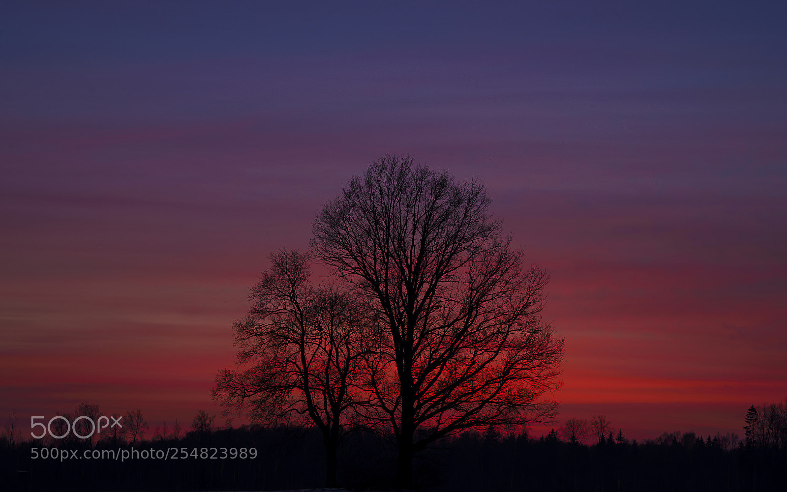 Nikon D610 sample photo. Red sunset photography