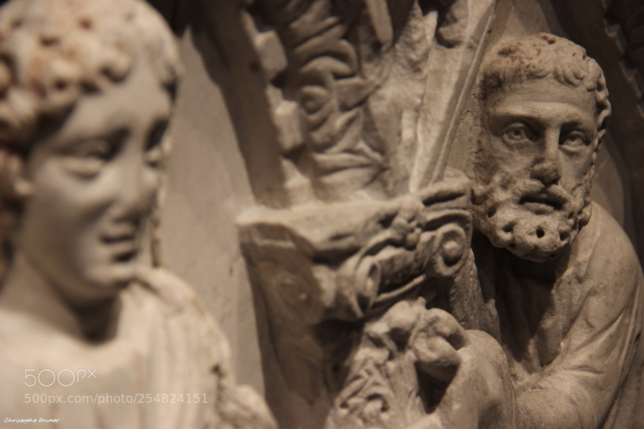 Canon EF-S 18-135mm F3.5-5.6 IS sample photo. Sculture photography