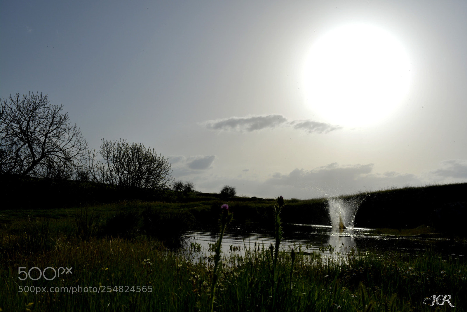 Nikon D5200 sample photo. Agua photography