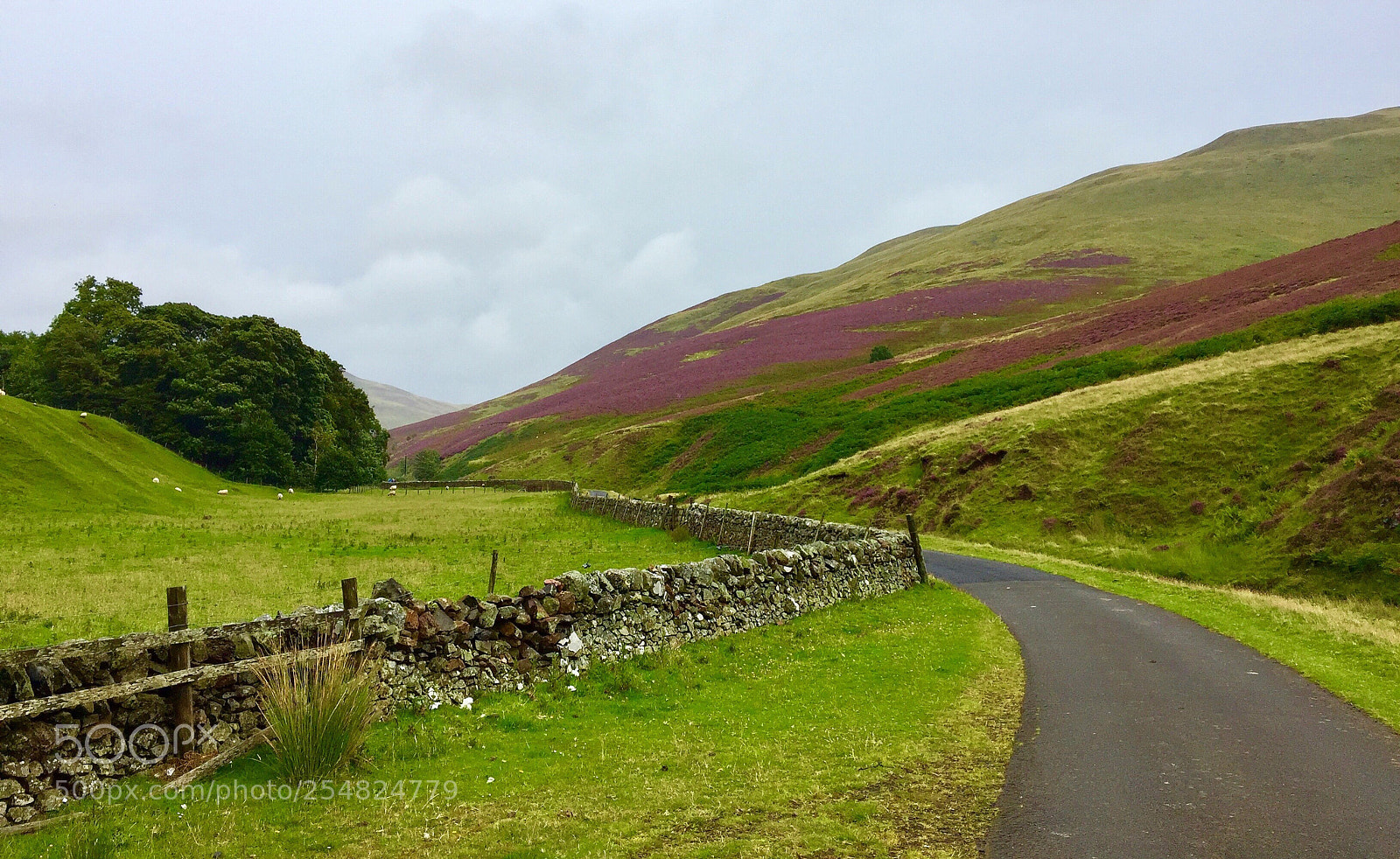 Apple iPhone 6 Plus sample photo. Scottish soft landscape photography