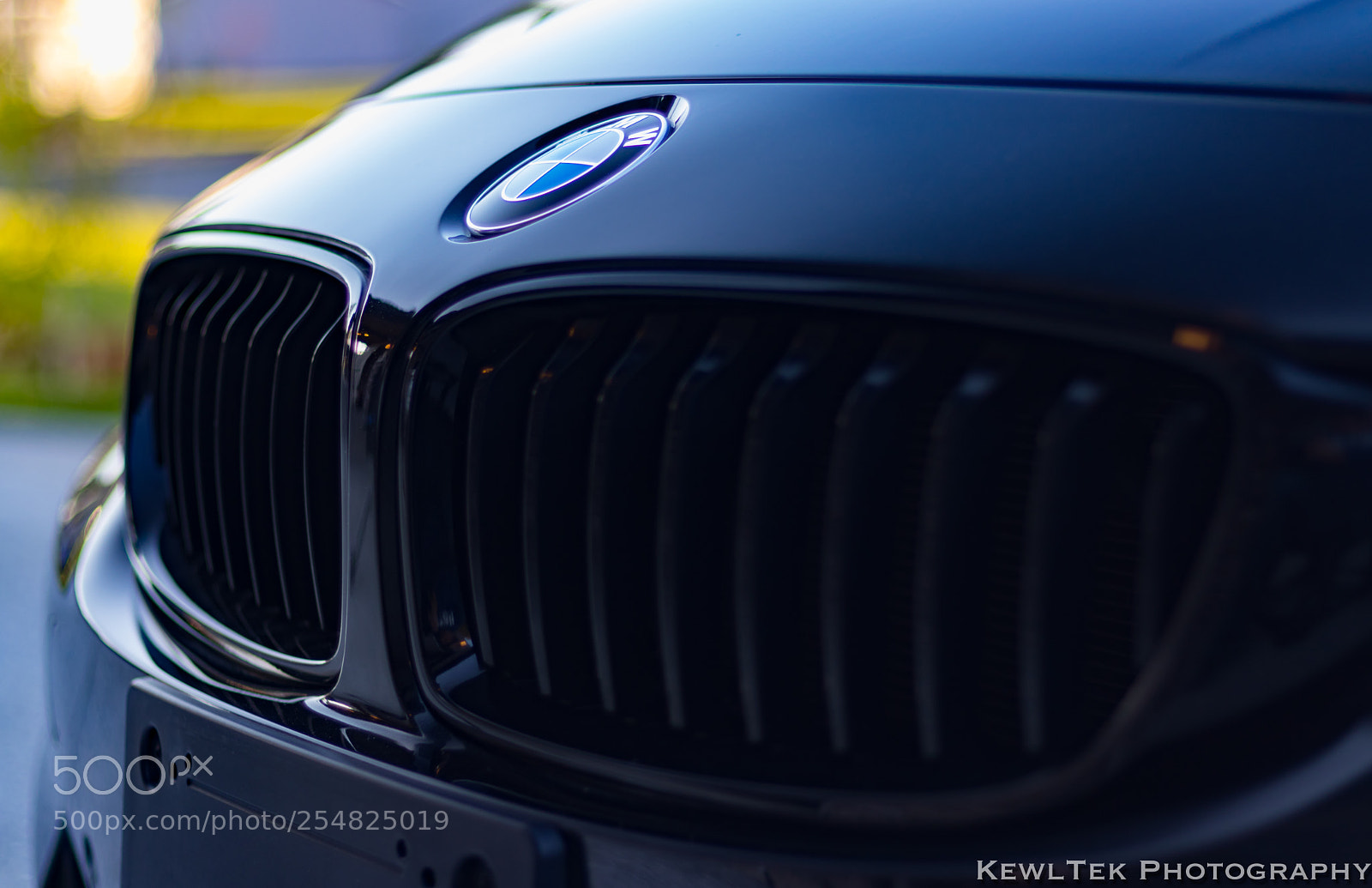 Canon EOS 80D sample photo. Kidney grille photography