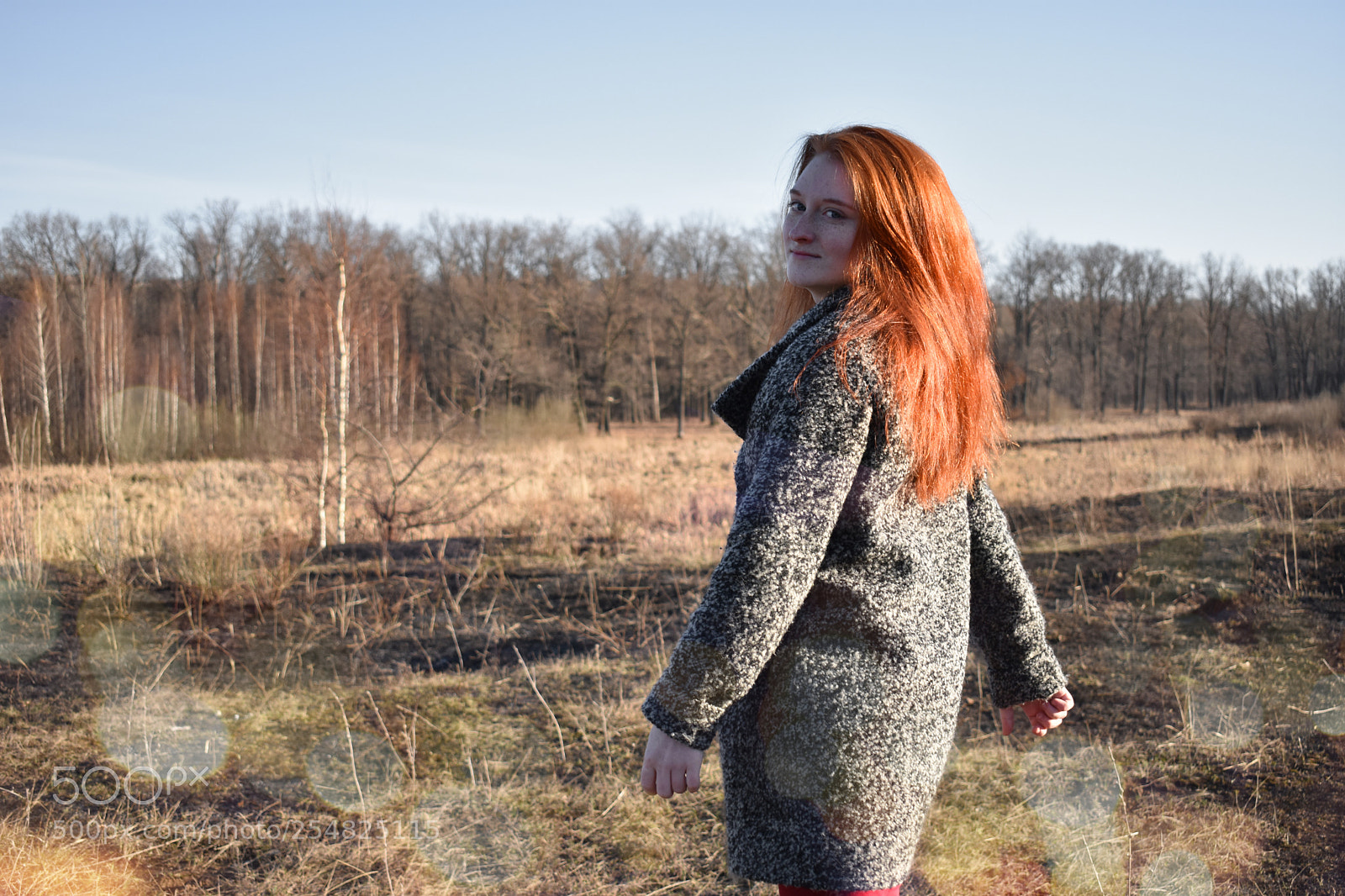 Nikon D3400 sample photo. Untitled photography