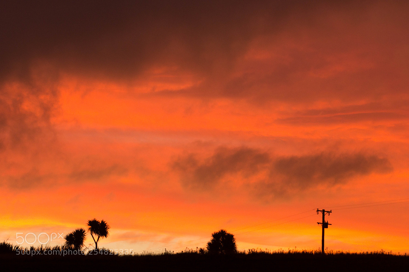 Canon EOS 60D sample photo. Sunset in curio bay photography