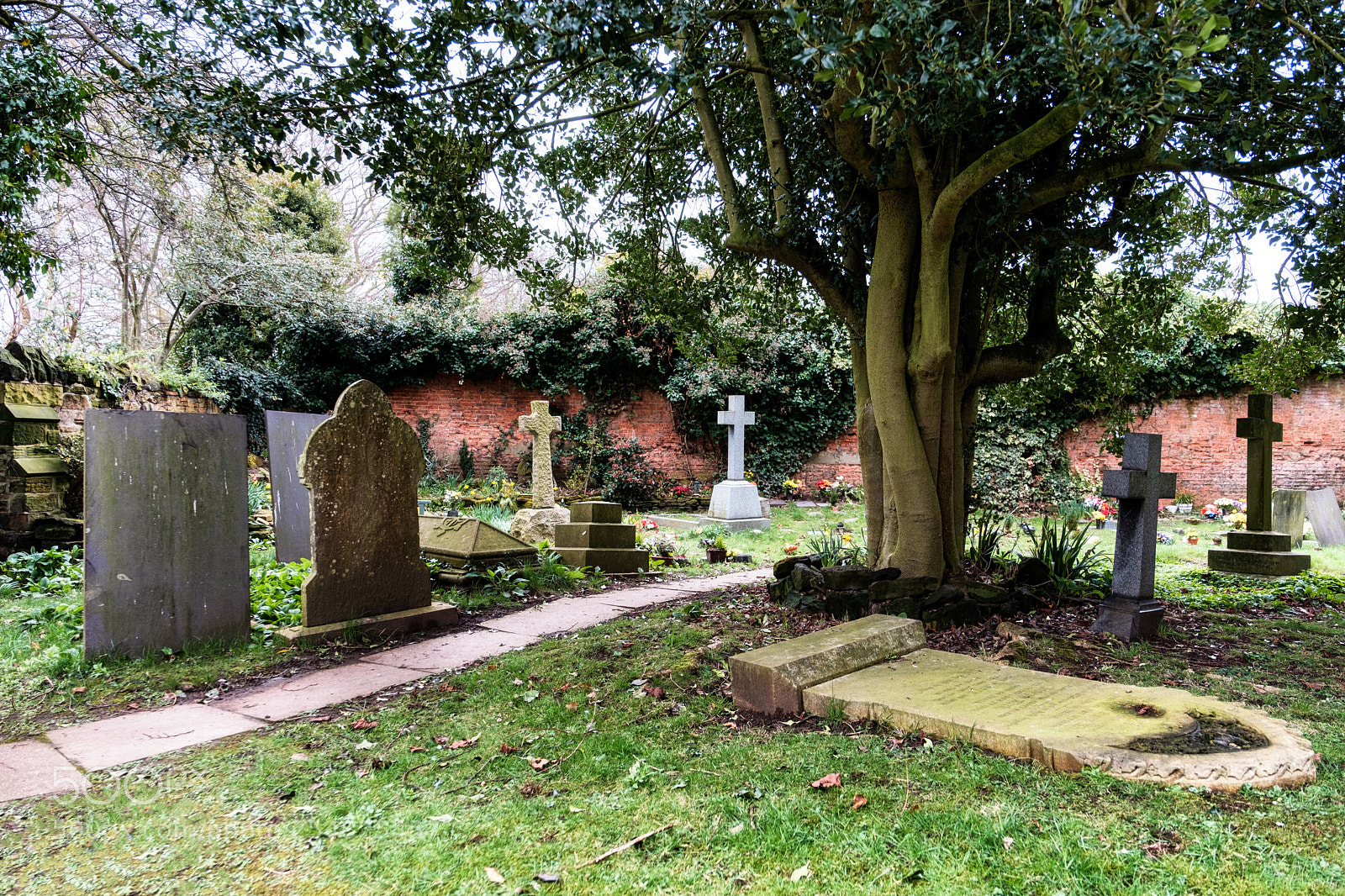 Fujifilm X-T2 sample photo. Gedling cemetery photography