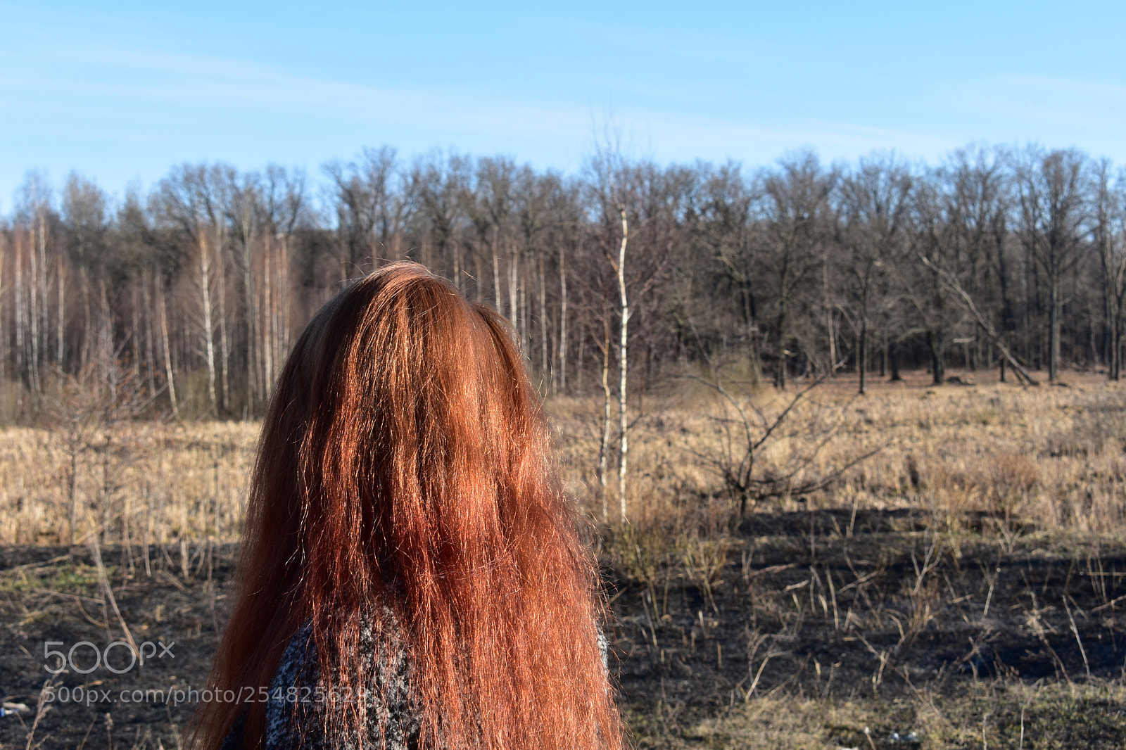Nikon D3400 sample photo. Untitled photography