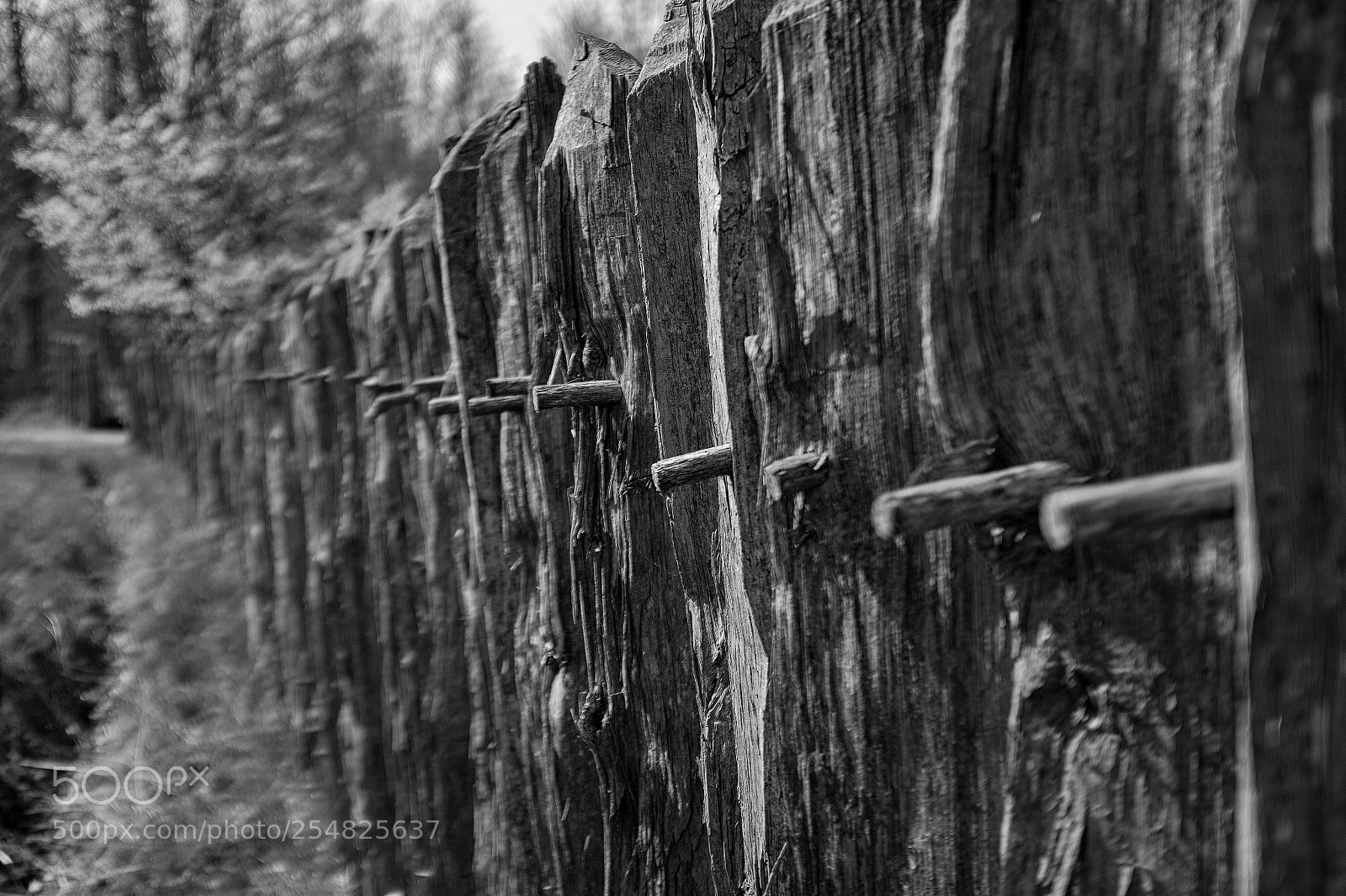 Fujifilm X100T sample photo. Fence photography