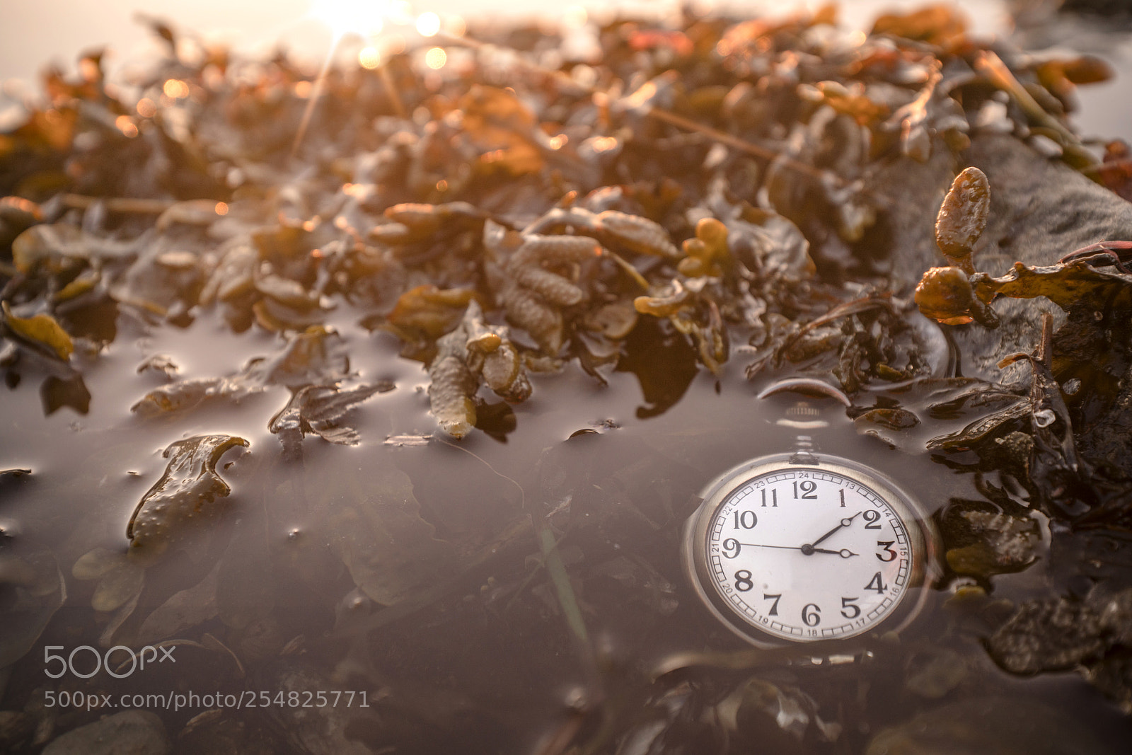 Sony a99 II sample photo. Antique pocket watch under photography