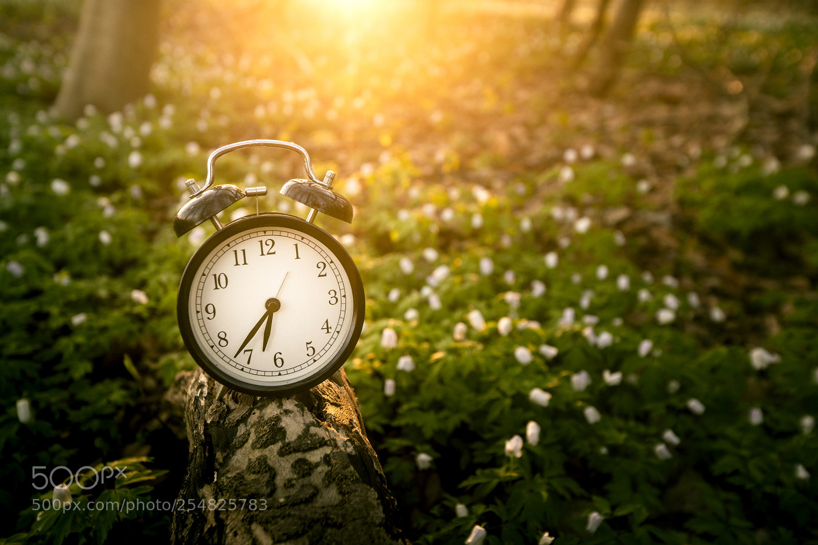 Sony a99 II sample photo. Alarm clock in the photography