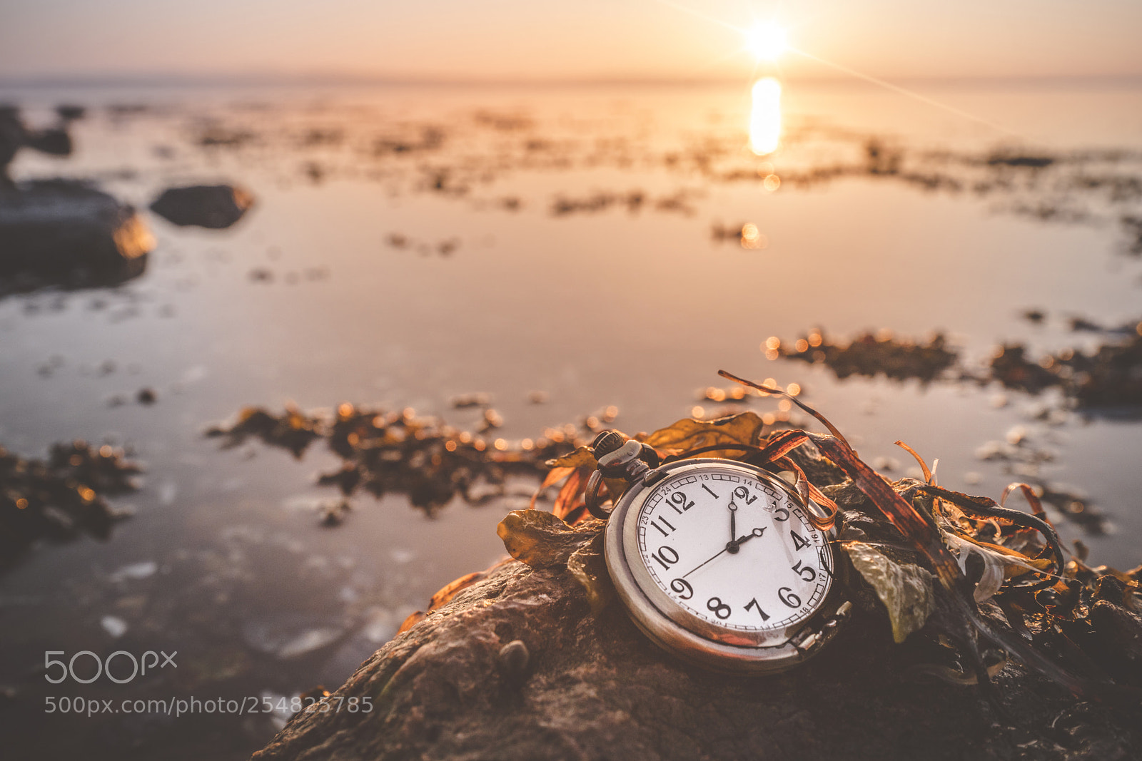 Sony a99 II sample photo. Antique pocket watch on photography