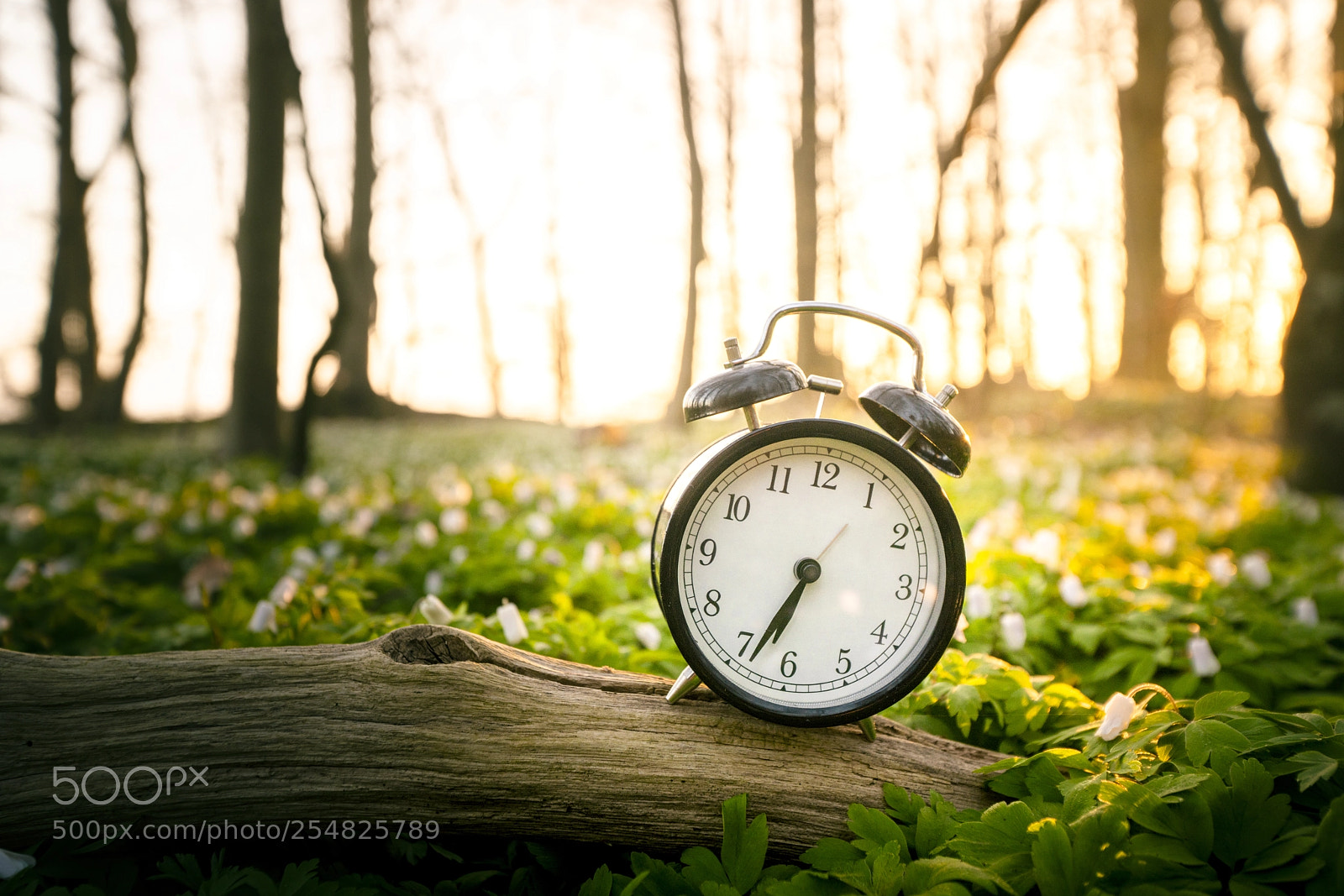 Sony a99 II sample photo. Alarm clock on a photography