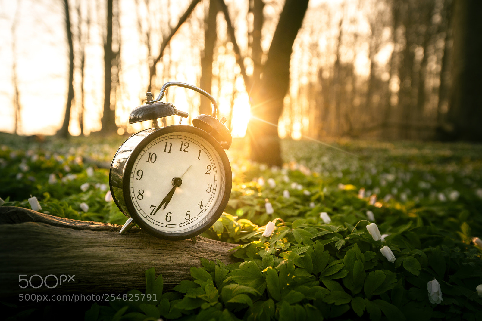 Sony a99 II sample photo. Alarm clock in a photography