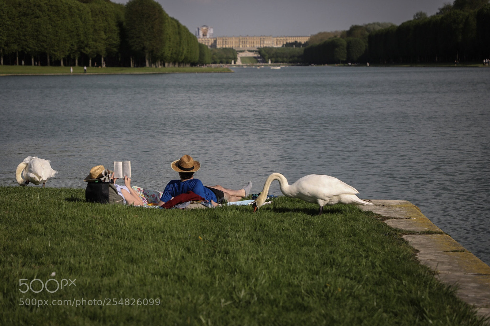 Canon EOS 5D Mark IV sample photo. Versailles summer time photography
