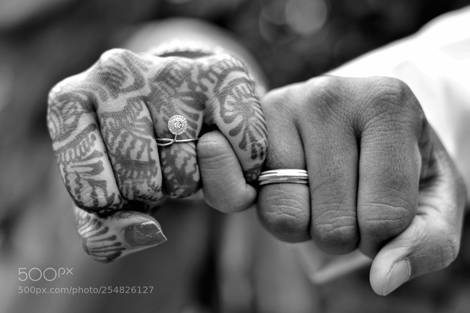 Nikon D5200 sample photo. Untitled photography