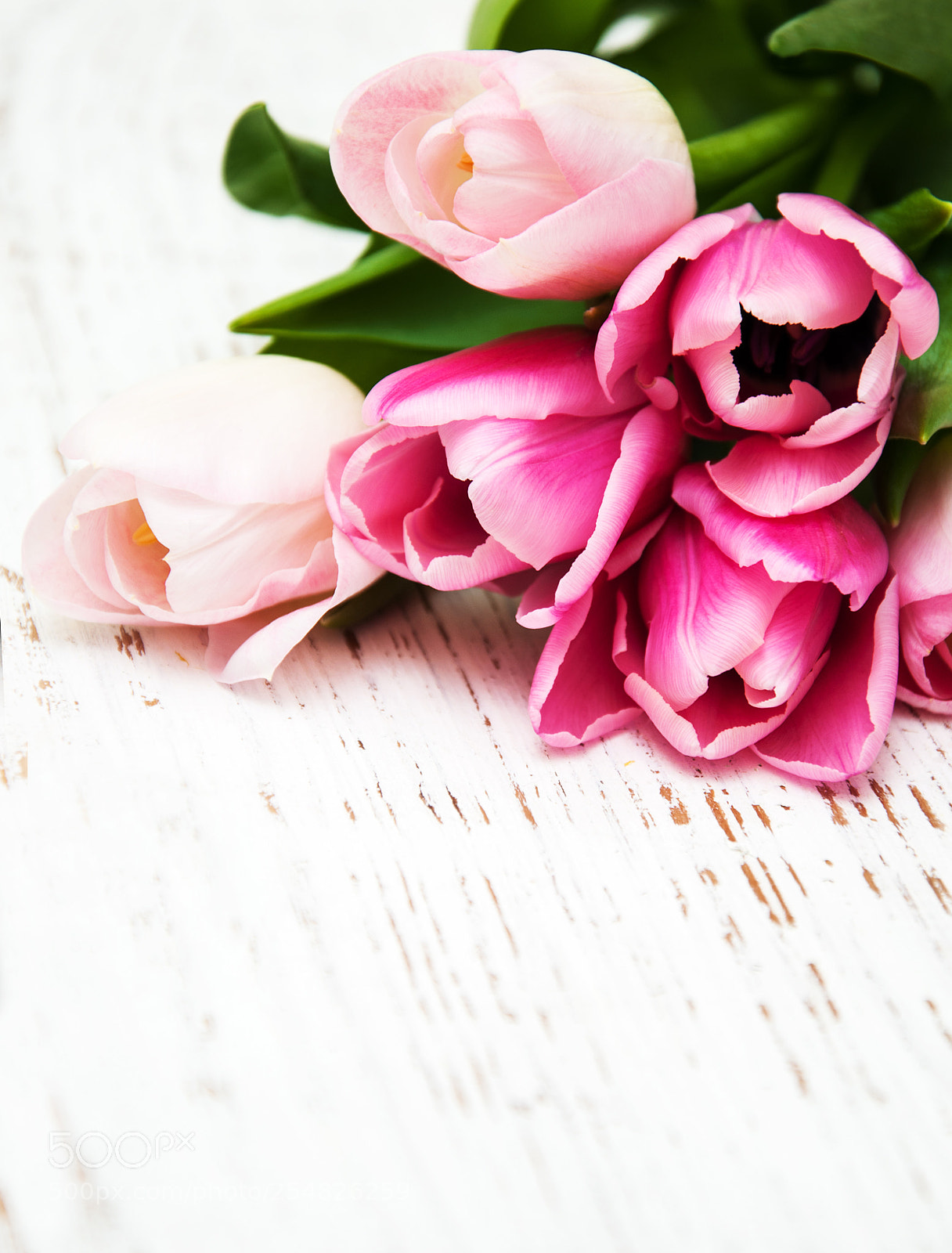 Nikon D90 sample photo. Bouquet of pink tulips photography