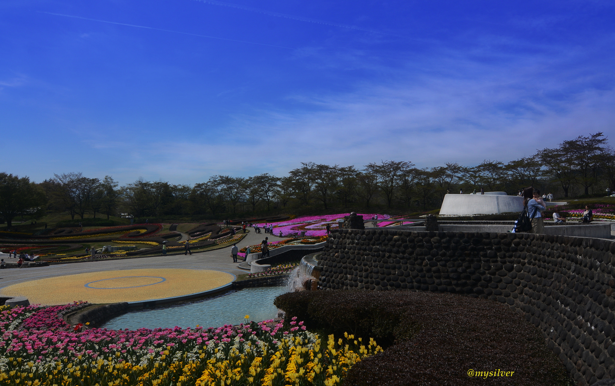 Nikon D7100 sample photo. Its time for colors photography